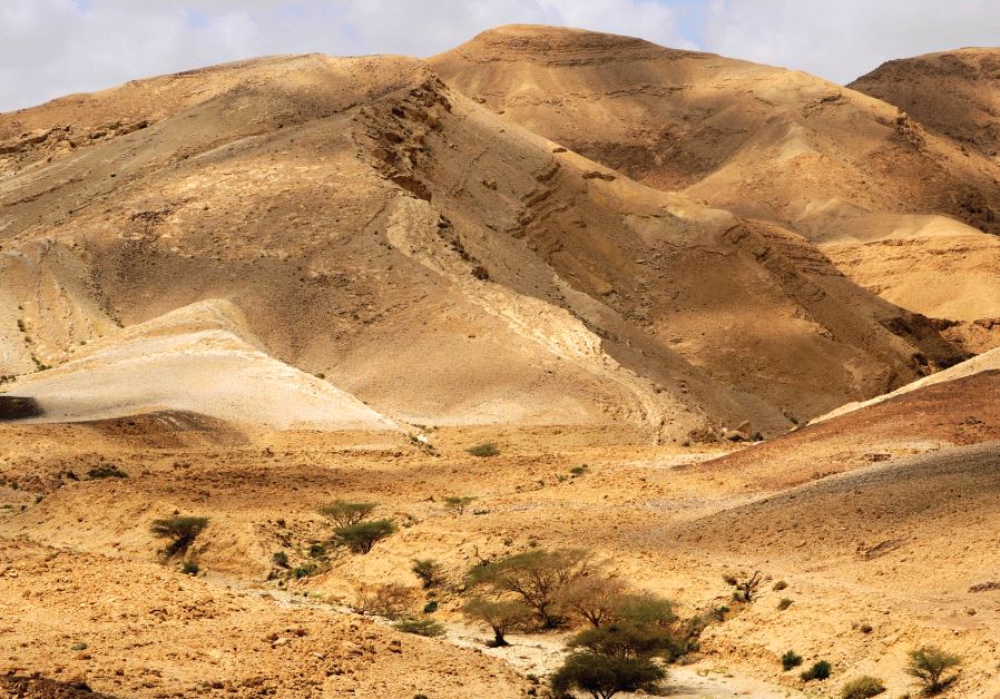 Israeli desert