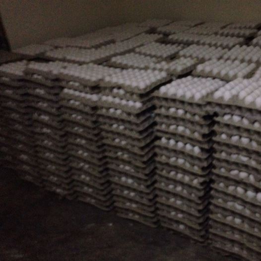 Seized eggs from West Bank