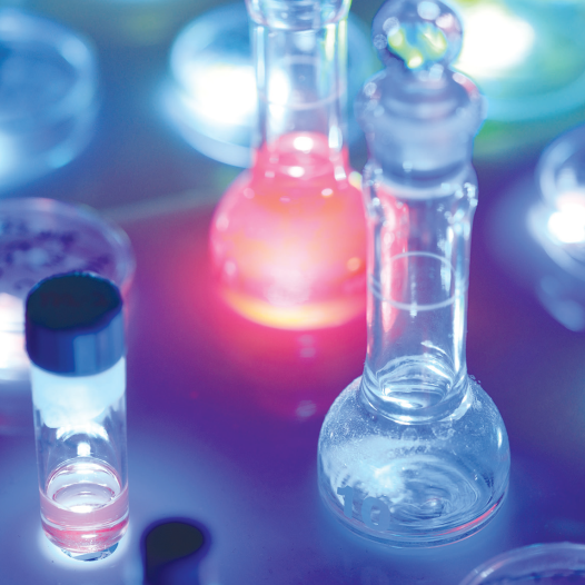 MOLECULED is a new technology that enables LCD displays to show more vivid, real-life colors than ev