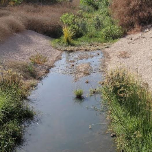 Sewage flow in Ness Ziona