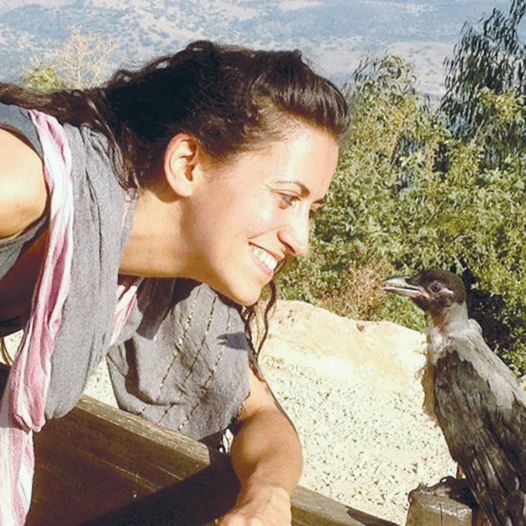 ORIT BARUCH, founder of Ohev Orev, looks at Oscar, the first crow she rehabilitated.