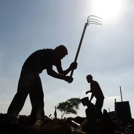A Palestinian labourer rakes wood during the production of charcoal east of Gaza City August 2, 2009