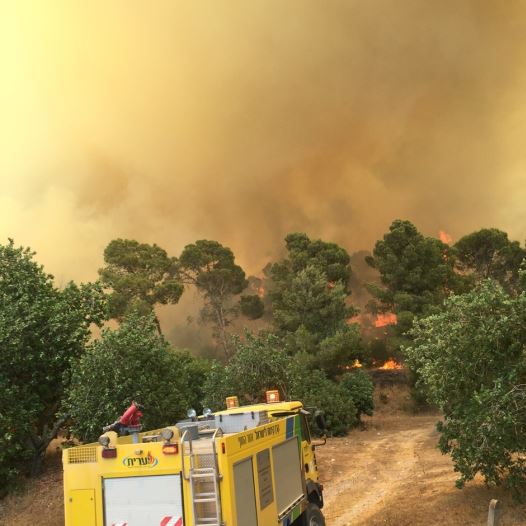 Brushfire rages near Beit Shemesh