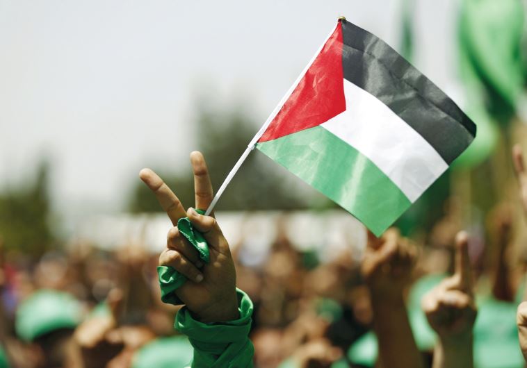 Pro Hamas student