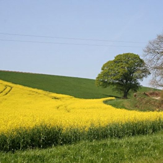 british countryside