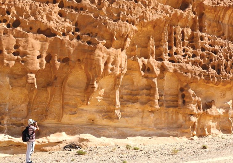 VACATION SPOT? A hiker takes a photo in the White Canyon area in South Sinai, Egypt, last year.