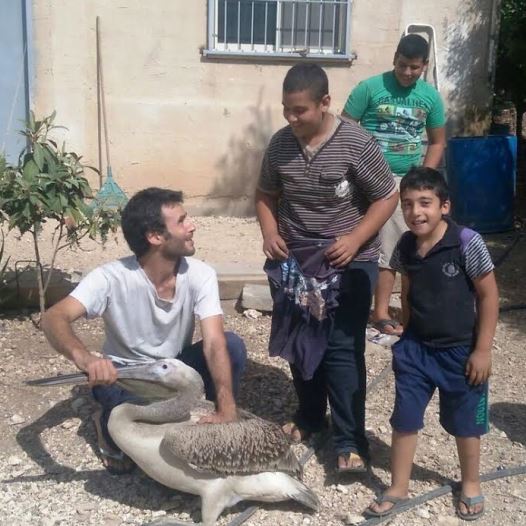 the Israel Nature and Park's Authority's Israeli Wildlife Hospital