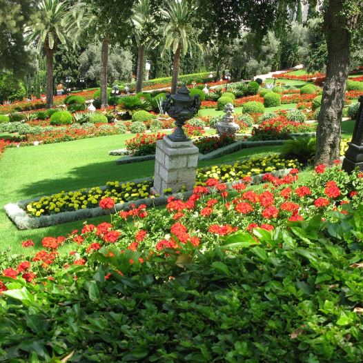 A fragrant garden
