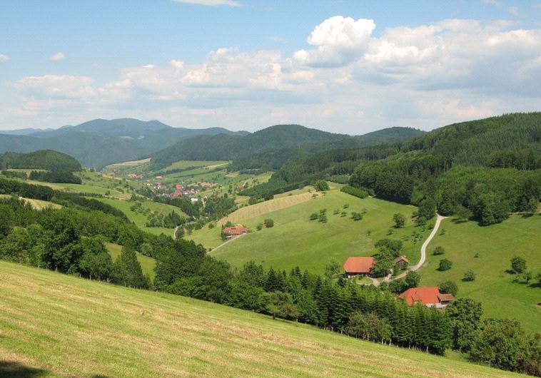 Black Forest Germany