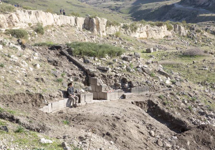 An image of the excavation site