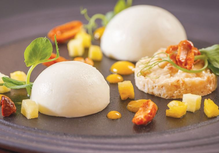 Panna cotta