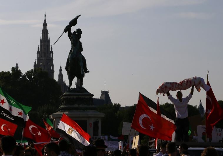 Pro-Palestinian demonstrators protest the 2014 Gaza operation in Vienna