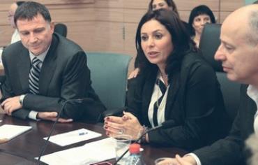 Miri Regev at the Knesset Interior and Environmental Affairs Committees, April 17, 2013.
