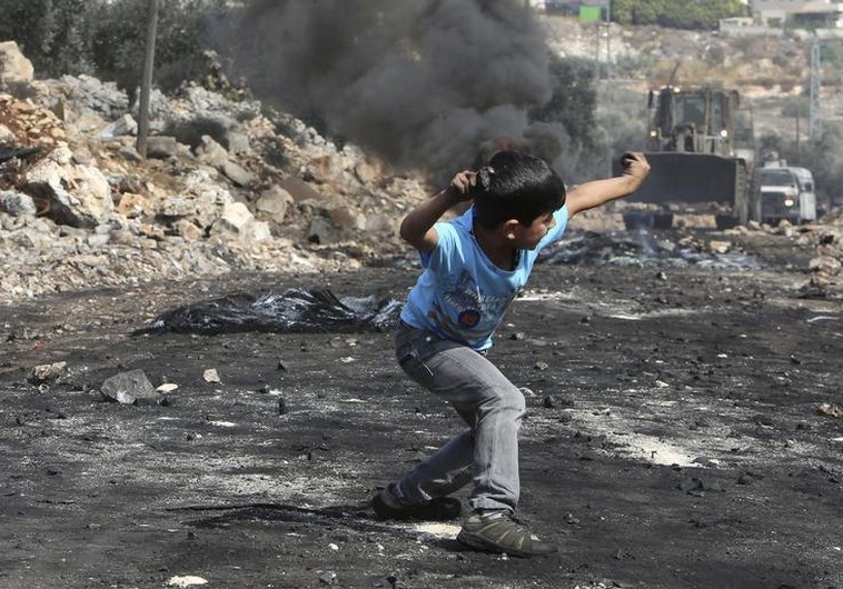 Palestinian throws stones at IDF