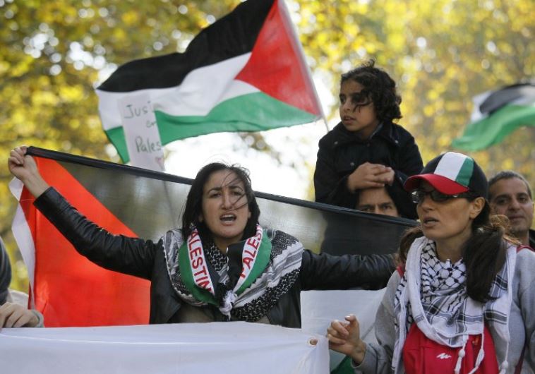 Pro-Palestine demonstrators calling for a boycott during a protest in Paris