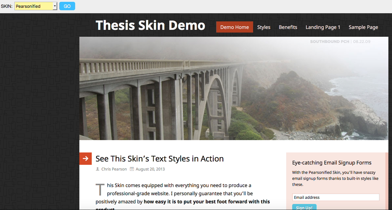 Thesis theme thesis skin manager