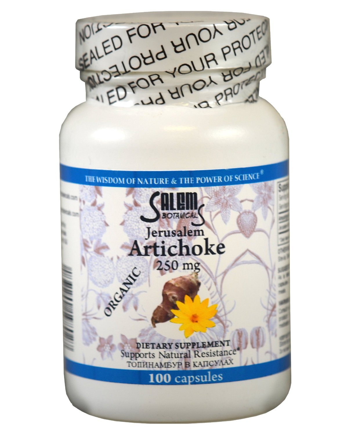 Jerusalem Artichoke (Helianthus Tuberosus) Where to Buy & Health