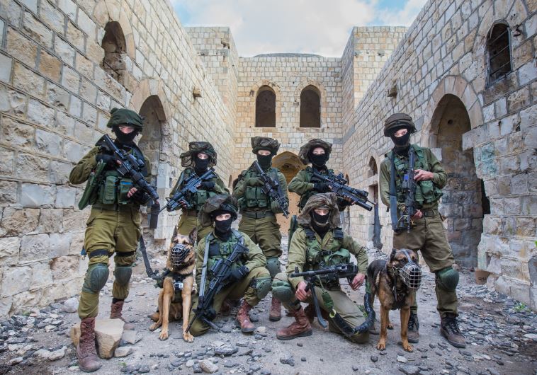 Israeli commandos complete military exercises in central Israel