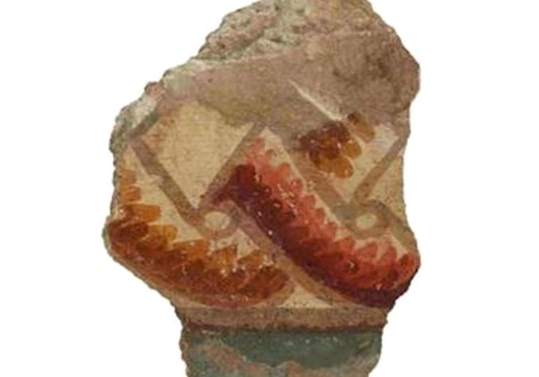 Rare fresco fragments dating back to Roman era discovered at ShowImage
