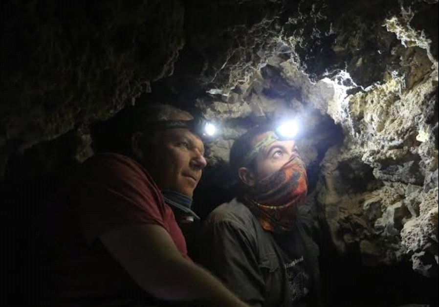 Watch Dead Sea Online (2017)