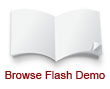 flash demo
