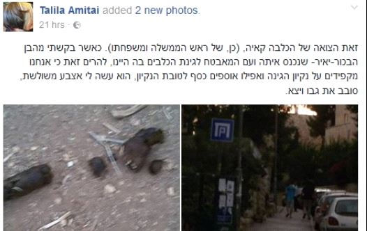 Facebook post written by the Netanyahu family's neighbor Talila Amitai (Facebook)