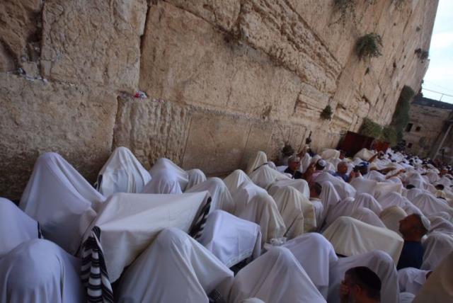 Priestly Blessing Western Wall Jerusalem - 16x20 Gallery Wrapped