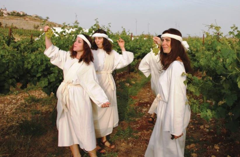 The annual Dancing in the Vineyard biblical festival. (photo credit: PR)