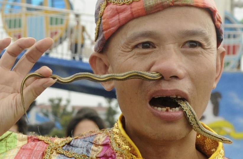 A man inserts a live snake through his nose and mouth during a performance at an amusement park to celebrate in Jinhua, China (photo credit: REUTERS)