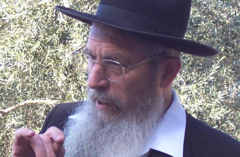 Rabbi Yisrael Ariel (photo credit: Wikimedia Commons)