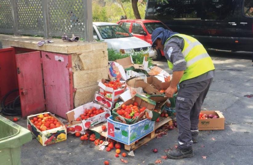 A GARBAGEMAN sifts through tomatoes that were discarded in Jerusalem. The country has seen an unprecedented rise in prices. (photo credit: Courtesy)