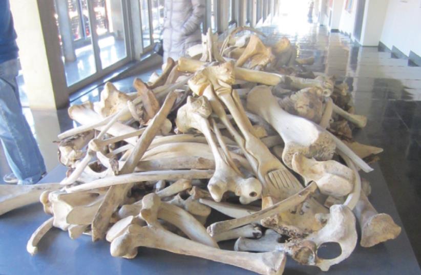A PILE of animal bones, by Pitika Ntuli on display at Constitution Hill, is called ‘Gaza.’ (photo credit: CHAIM CHESLER)
