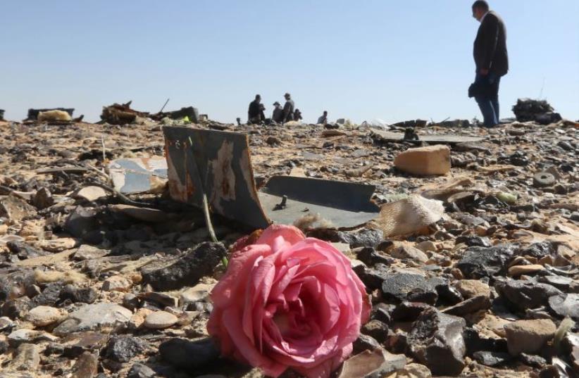 A flower is seen near debris at the crash site of a Russian airliner in al-Hasanah area in El Arish city, Egypt. (photo credit: MOHAMED ABD EL GHANY/REUTERS)