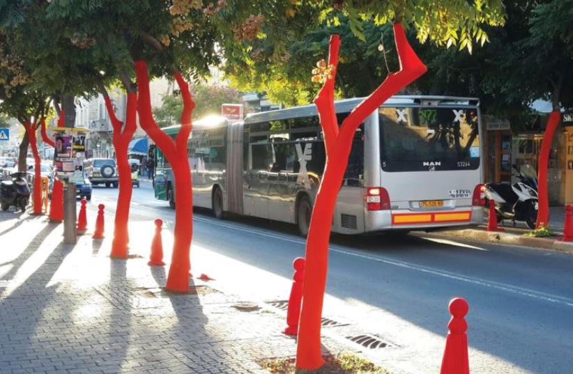 Wrapping trees in color on Emek Refaim Street (photo credit: TAMAR KLEIN)