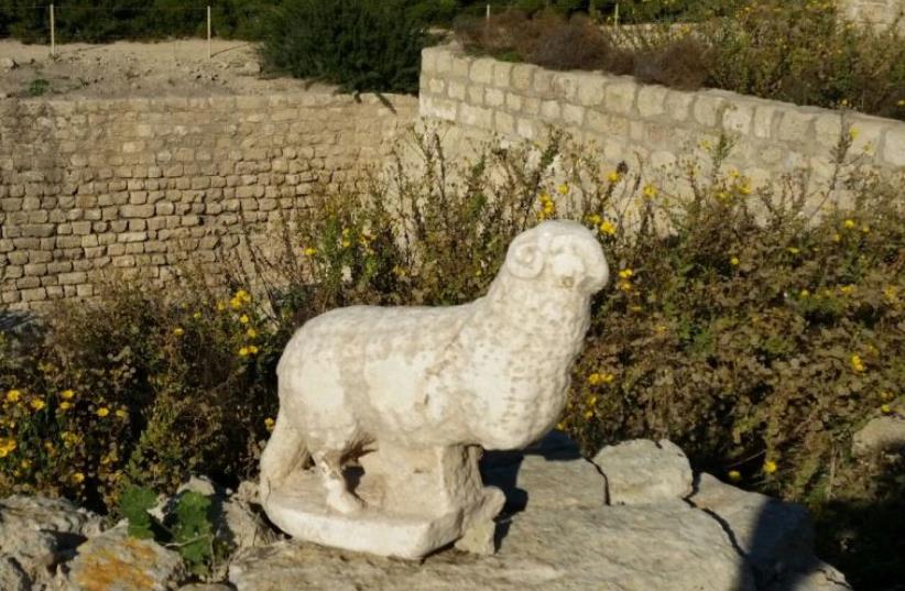 Byzantine era statue of lamb found in Caesarea‏ (photo credit: VERED SARIG)