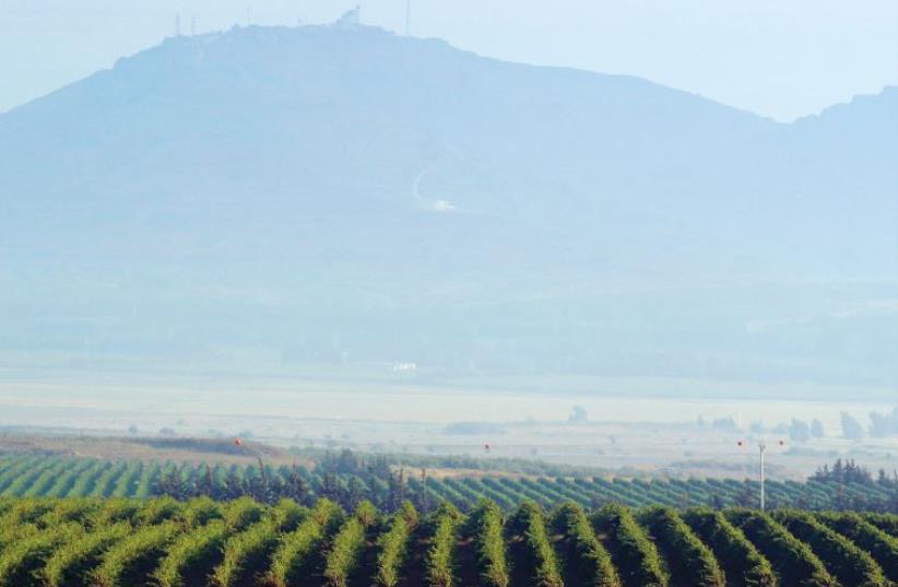 A communications post is seen above a Golan Heights Wienry vineyard (photo credit: REUTERS)