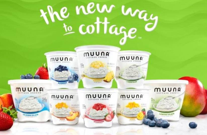 Dairy In The Diaspora Israeli Firm S Cottage Cheese To Hit Us