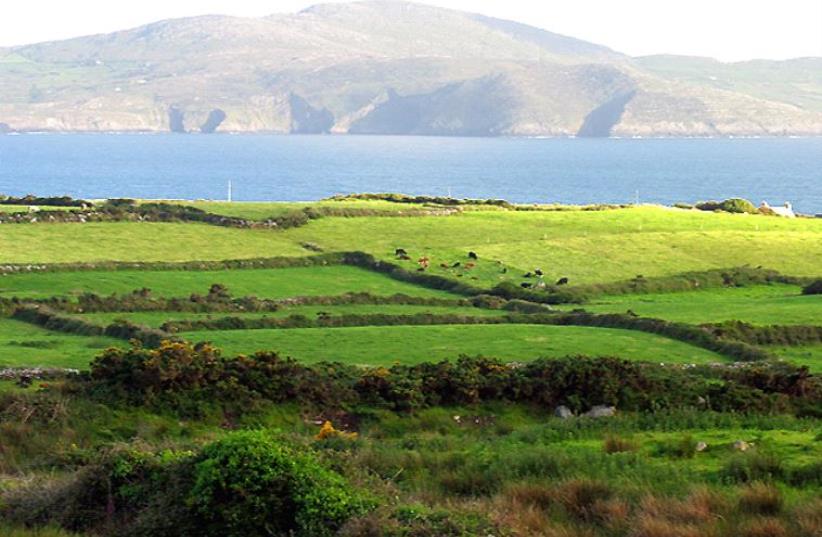 Pasture near Ballyieragh, County Cork, Ireland (photo credit: PAM BROPHY/WIKIMEDIA)