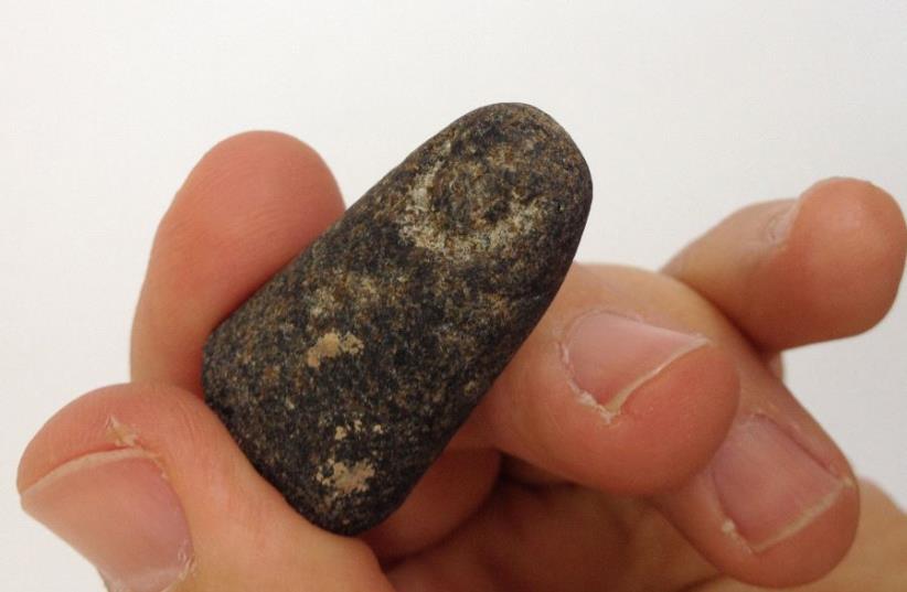 Stone finger from ancient Egyptian statue , uncovered in Jerusalem (photo credit: COURTESY OF TEMPLE MOUNT SIFTING PROJECT)