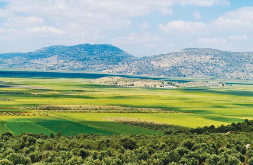 A view of the Netofa Valley from the Netofa lookout on Highway 65 (photo credit: ISRAEL ROADS)