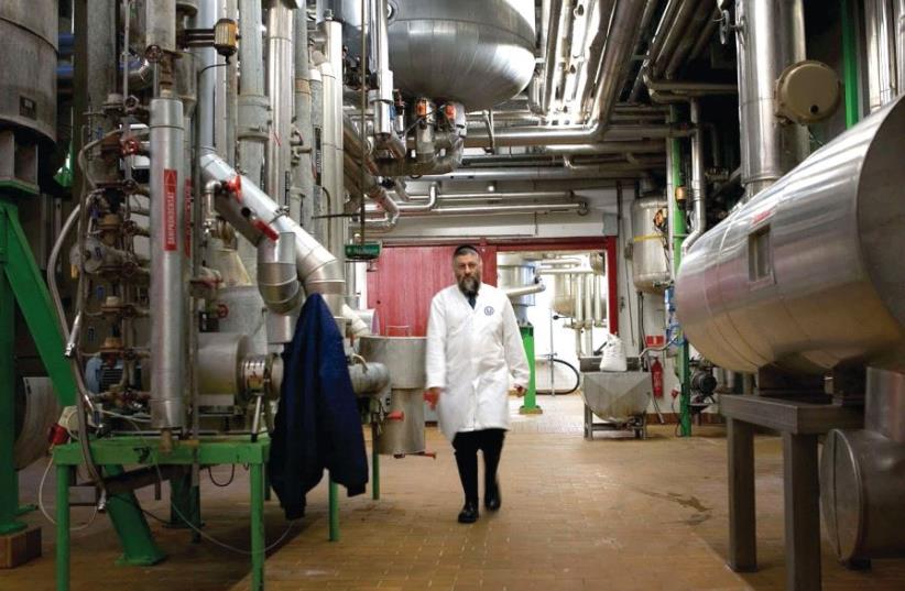 OU kashrut supervisor at work in a food manufacturing company (photo credit: COURTESY OF THE OU)