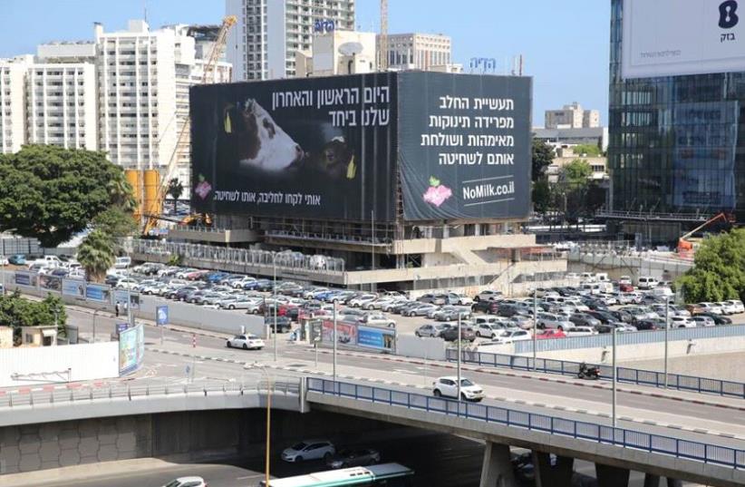 A billboard in Tel Aviv aims to raise compassion for milk cows. (photo credit: "VEGAN ACTIVE FACEBOOK PAGE")