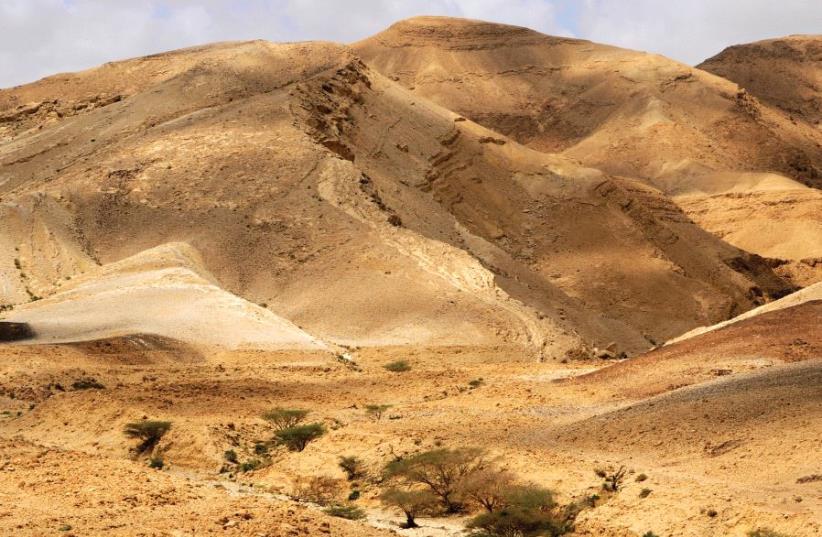 A desert in Israel (illustrative) (photo credit: MARK NEYMAN / GPO)