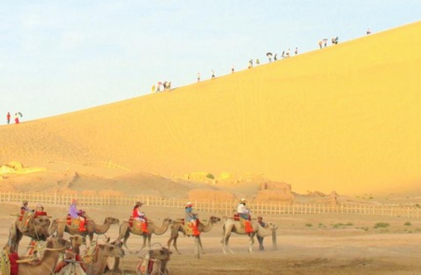 tourists.camels 521 (photo credit: Courtesy)