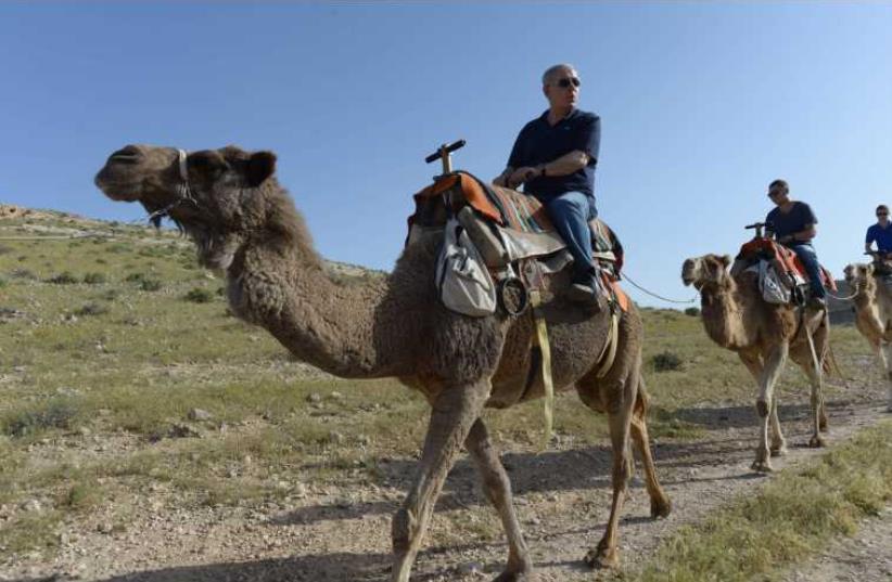 Prime Minister Benjamin Netanyahu and his family ride camels  (photo credit: AMOS BEN GERSHOM, GPO)