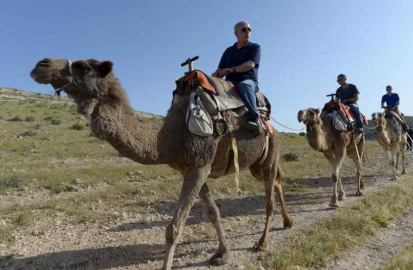 Prime Minister Benjamin Netanyahu (L) and his sons ride camels as they vacation in Israel (photo credit: REUTERS)