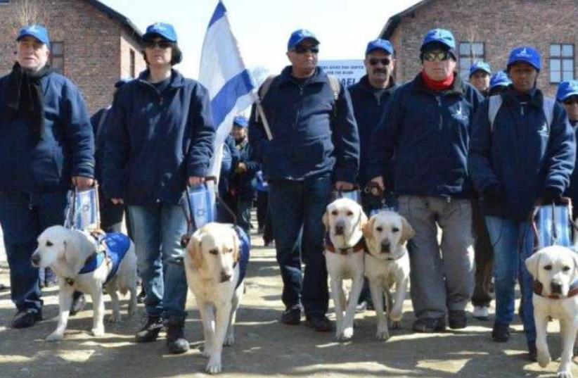 Blind Israeli participants and their guide dogs leaving the gates of Auschwitz on the March of the Living (photo credit: ELI BEN BOHER)