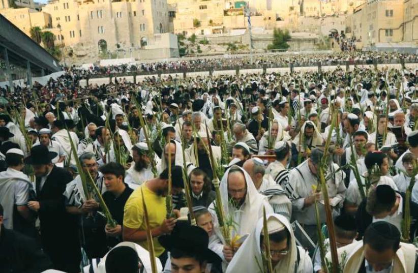Hoshana Raba is celebrated at the Western Wall in 2013. (photo credit: MARC ISRAEL SELLEM/THE JERUSALEM POST)