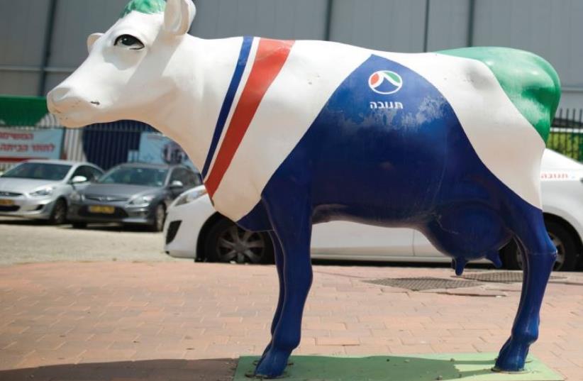 A statue of a beautiful cow painted in the colors of dairy firm Tnuva’s logo stands outside the company’s logistic center in Kiryat Malachi (photo credit: REUTERS)