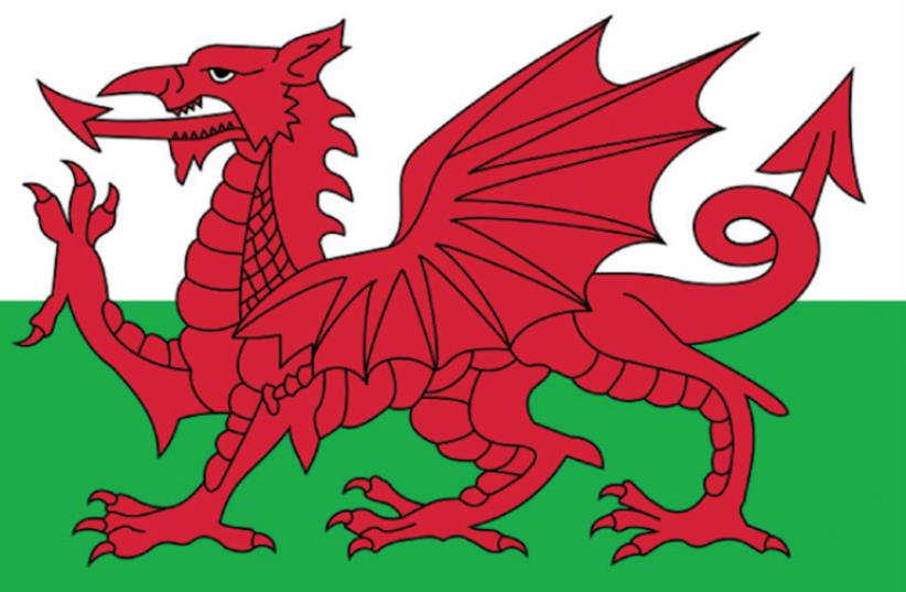 Welsh flag (photo credit: RUTH CORMAN)